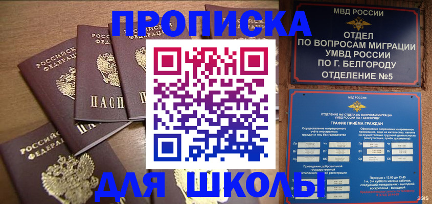 прописка гарантия в Мариинском Посаде